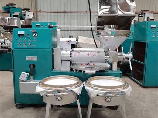 machine d'extraction d'huile de cuisson pour la meilleure presse à huile de sésame populaire