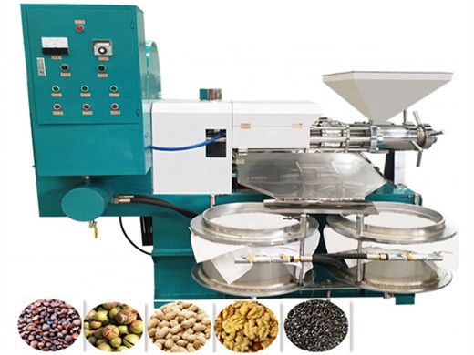 machine d'extraction automatique de noyaux de palmier et de noix de coco