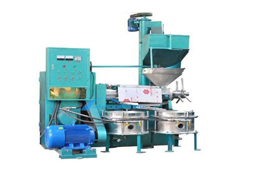 machine de presse à huile commerciale 20 30 kg/h automatique, vis