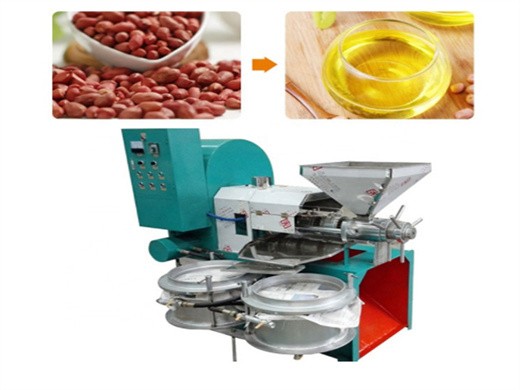 machine de fabrication d'huile de presse à huile facile à utiliser