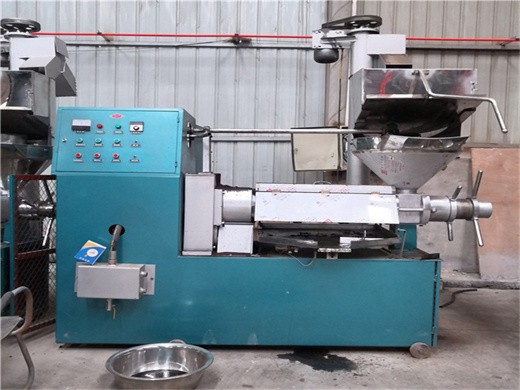 machine de presse à huile de tournesol en chine pour l'extraction d'huile d'arachide