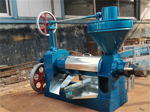 machine de traitement de la noix de coco extraction de l'huile de noix de coco