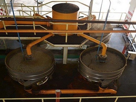 usine d'extraction continue par solvant d'huile de germe de maïs