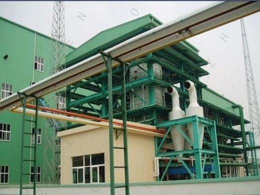 machine de presse à huile électrique commerciale fabriquée en chine