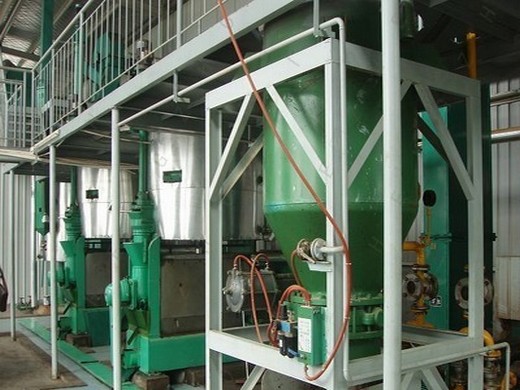 machine d'extraction d'huile d'huile de marachekku triphasée