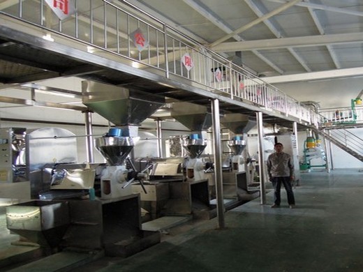 processus du moulin à huile de palme machine d'extraction d'huile de palme