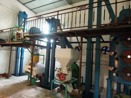 fabricants et fournisseurs de machines à huile de palme, chine