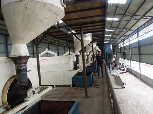 fournisseur de machine de fabrication d'huile de germe de maïs sain