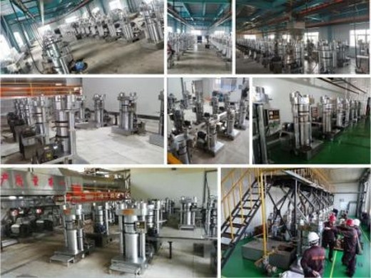 processus de raffinage et de fractionnement de l'huile de palme_zhengzhou