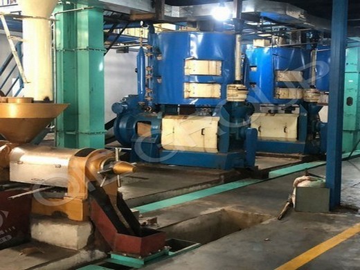 machine de traitement de l'huile de palmiste à vendre _prix usine