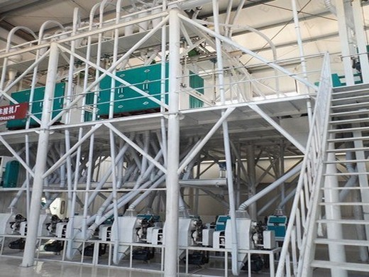 Machine automatique de fabrication d’huile de tournesol/machine d’extraction d’huile au Congo