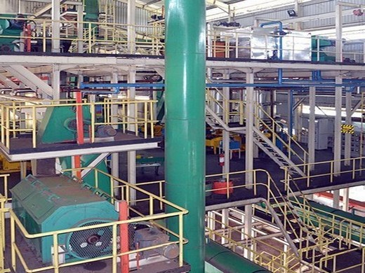 machine à huile de graines de coton/tournesol 100 tpj