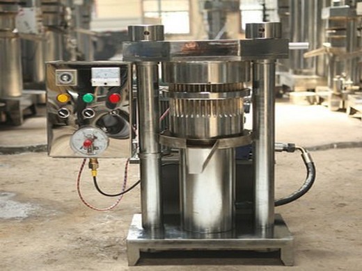machine à germes de maïs en chine, fabricants de machines à germes de maïs