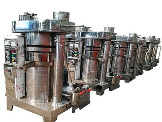 machine de presse à huile en acier inoxydable 304 pour olive commerciale