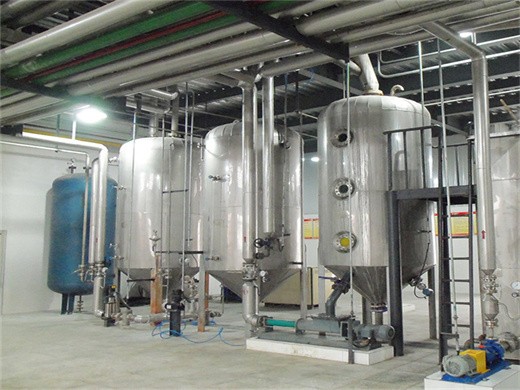 technologie de traitement d'extraction mécanique pour le biodiesel