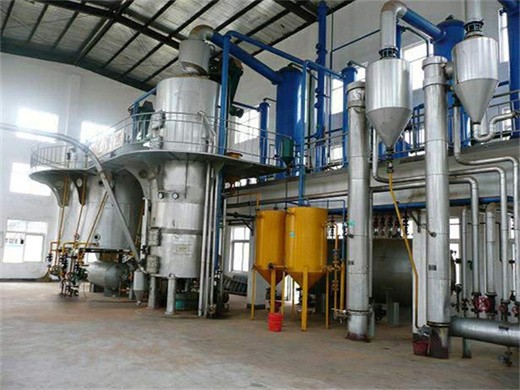 machine d'extraction d'huile de palmiste prix usine