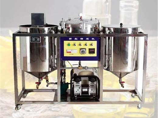 meilleur fabricant et fournisseur de machines d'extraction d'huile de ricin