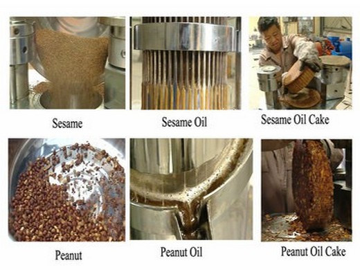 extraction d'huile de machine de presse à froid au tournesol du congo