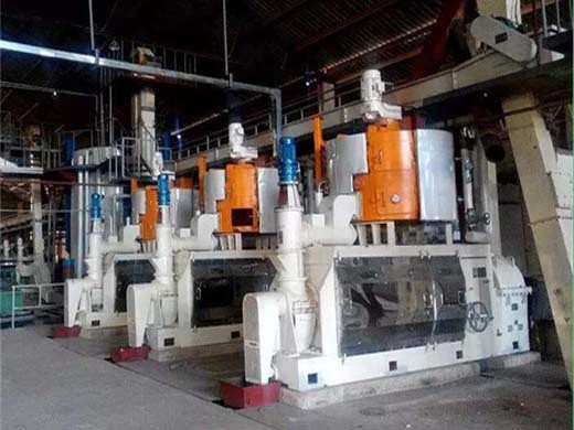 machine de fabrication de jus de fruits commerciaux en chine