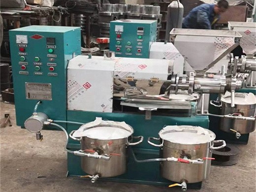 Fabricant de fournisseurs de machines de presse à huile de noix du Togo