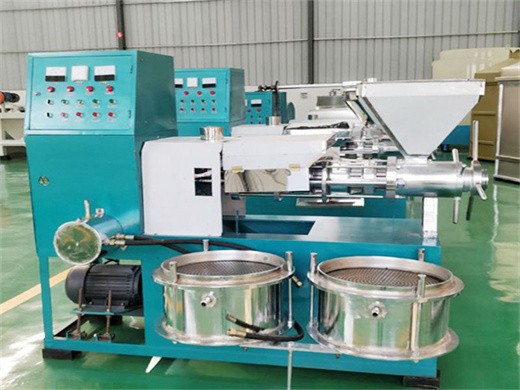 fabricants et fournisseurs de machines de presse à huile d'arachide en chine